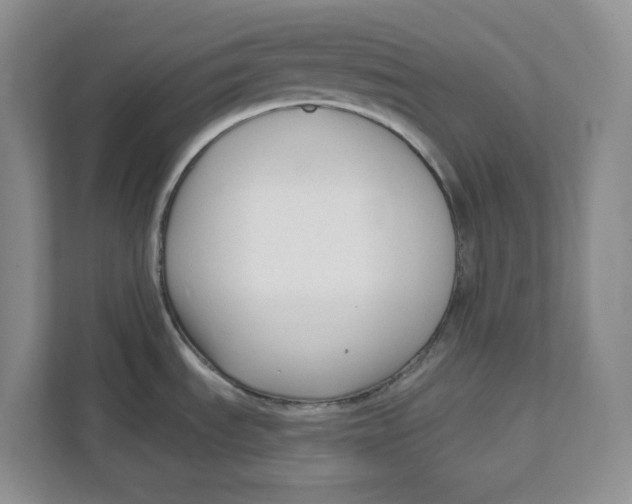 X0000111621535200908071341