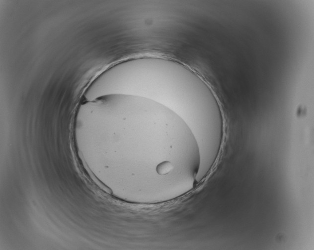 X0000111620001200908141329