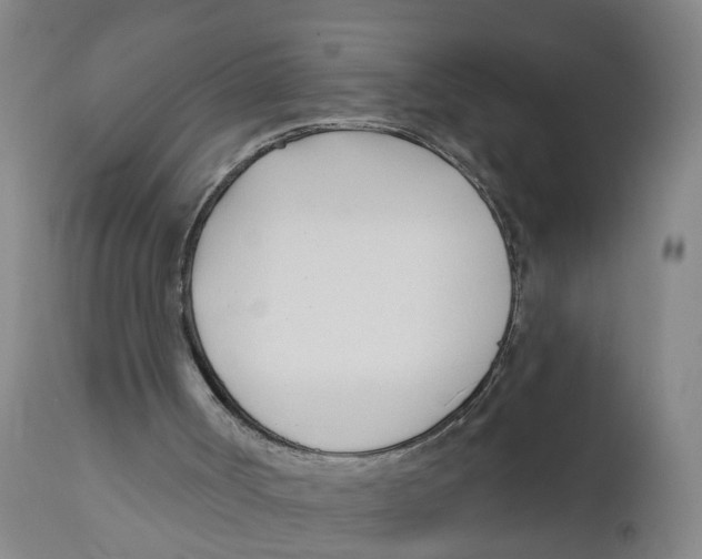 X0000111620002200908141329