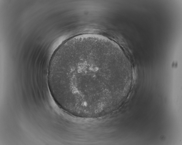 X0000111620003200908141329