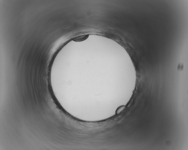 X0000111620006200908141329