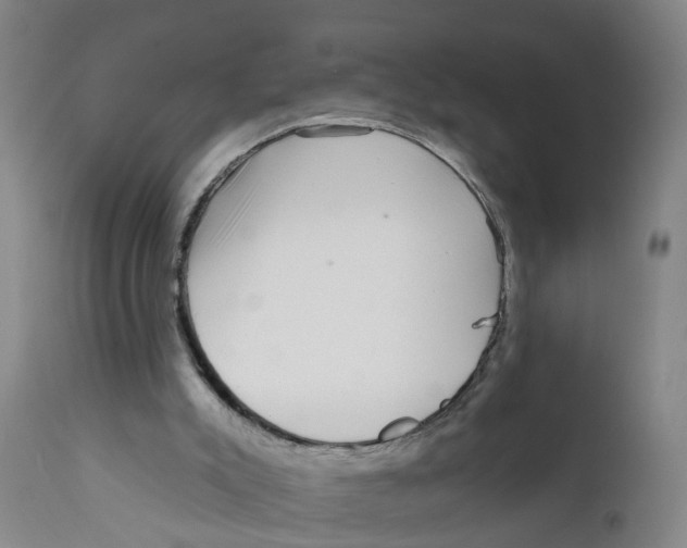 X0000111620007200908141329