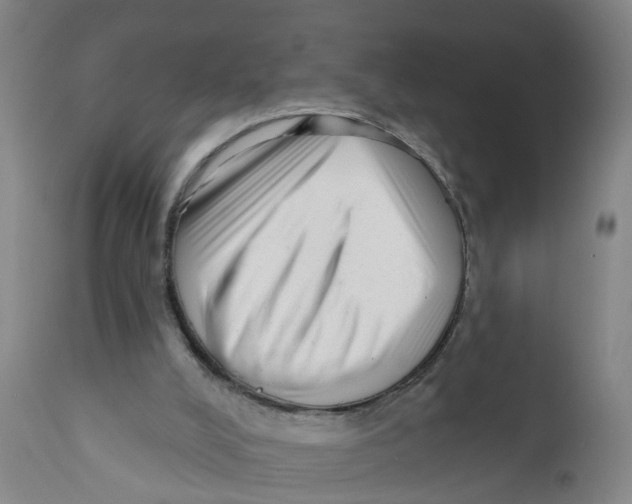 X0000111620008200908141329