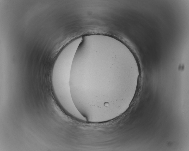 X0000111620009200908141329