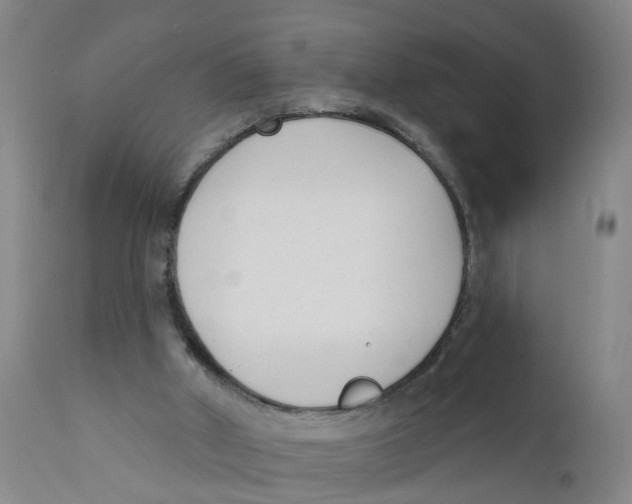 X0000111620010200908141329