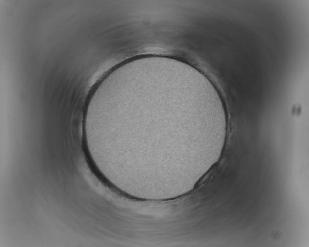 X0000111620011200908141329