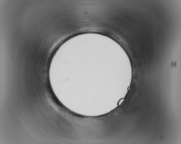 X0000111620012200908141329