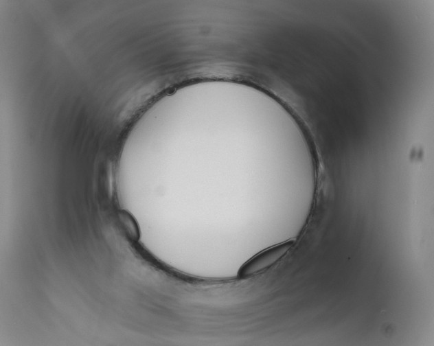 X0000111620013200908141329