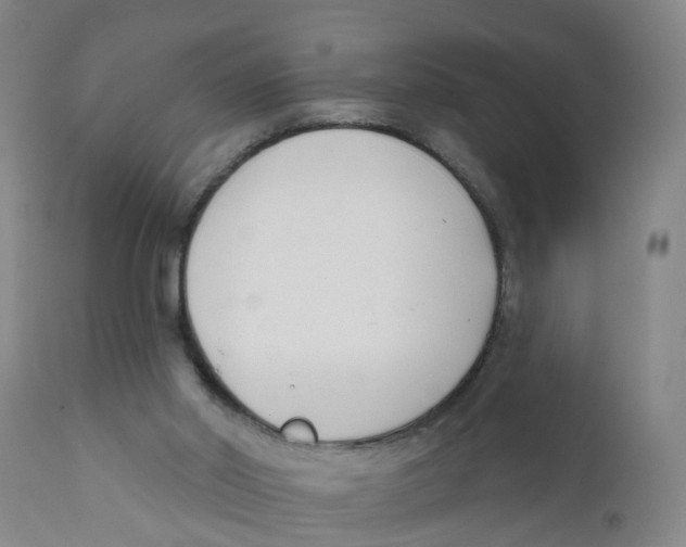 X0000111620014200908141329