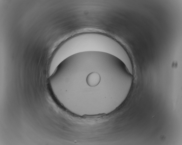 X0000111620015200908141329