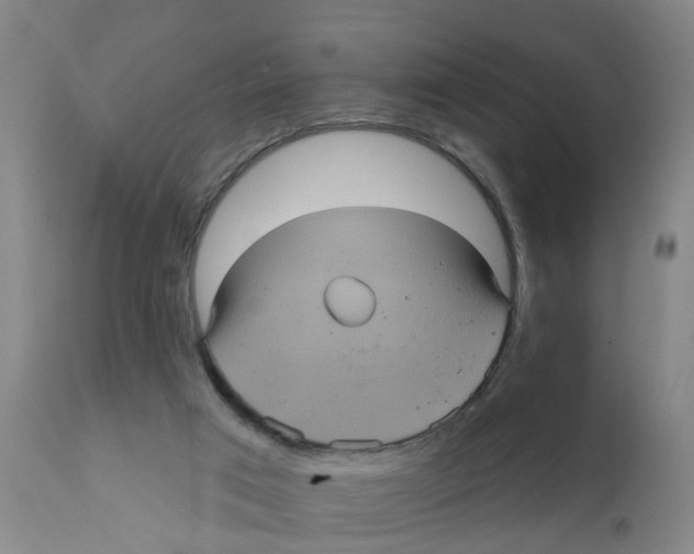 X0000111620017200908141329