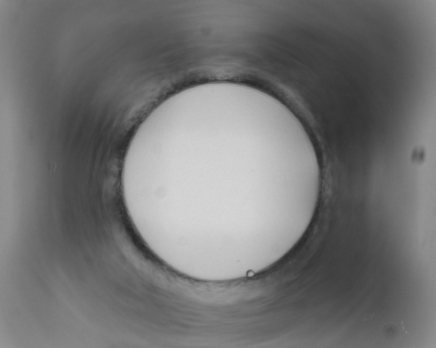 X0000111620018200908141329