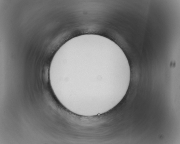 X0000111620022200908141329