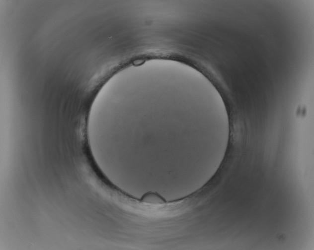 X0000111620023200908141329