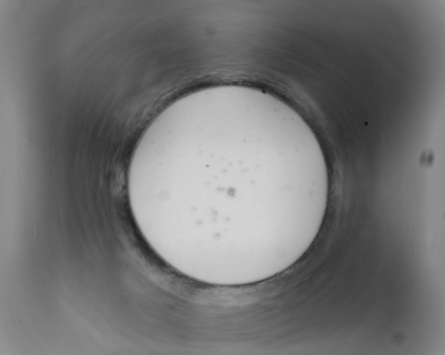 X0000111620025200908141329