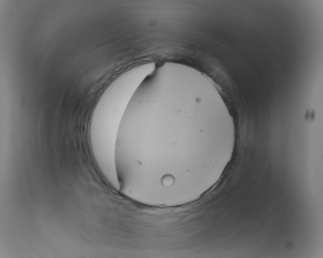 X0000111620029200908141329