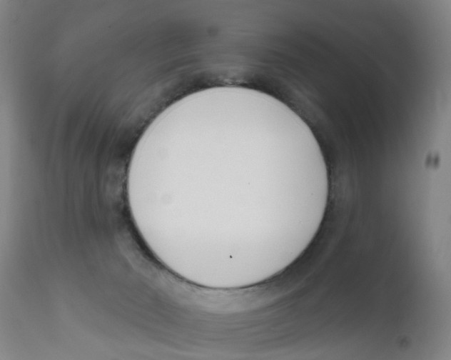 X0000111620030200908141329