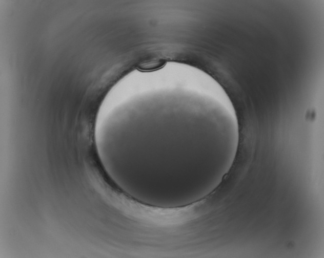 X0000111620031200908141329