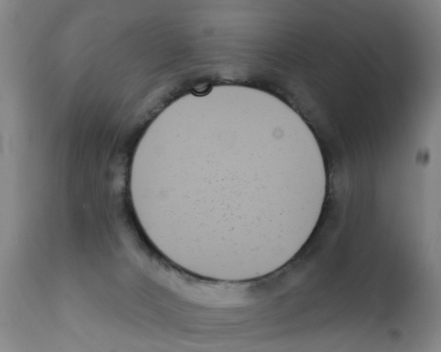 X0000111620032200908141329