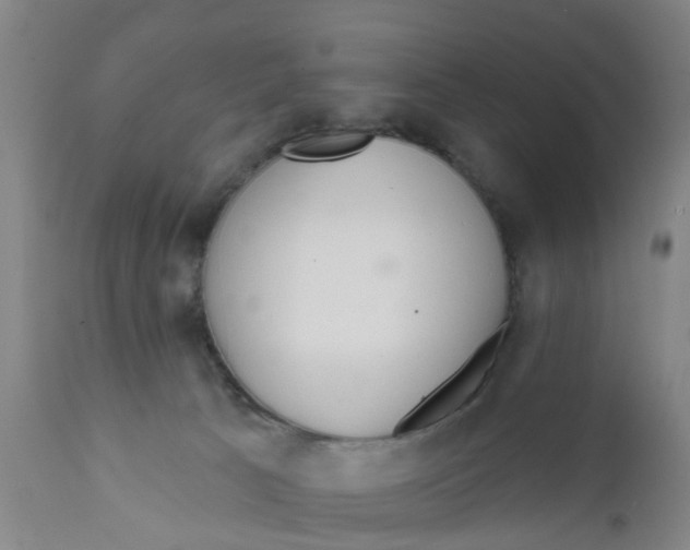 X0000111620033200908141329