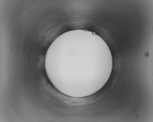 X0000111620034200908141329