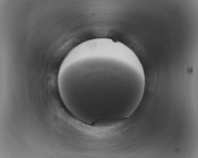 X0000111620035200908141329