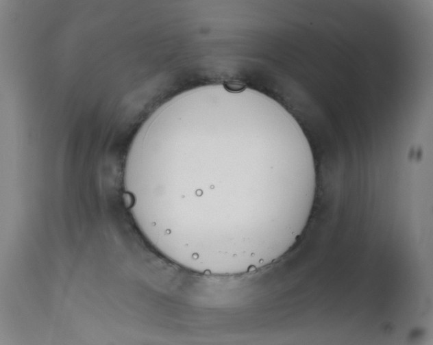 X0000111620037200908141329