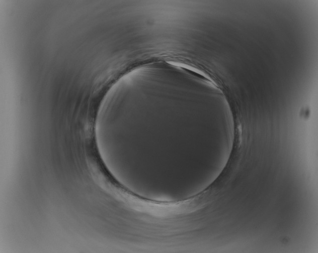 X0000111620039200908141329