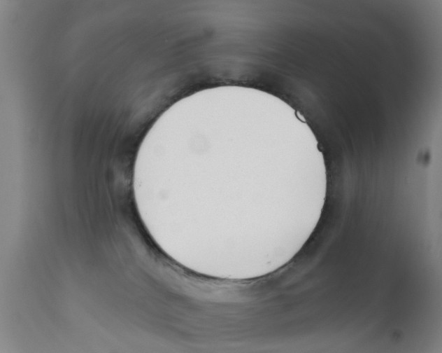 X0000111620040200908141329