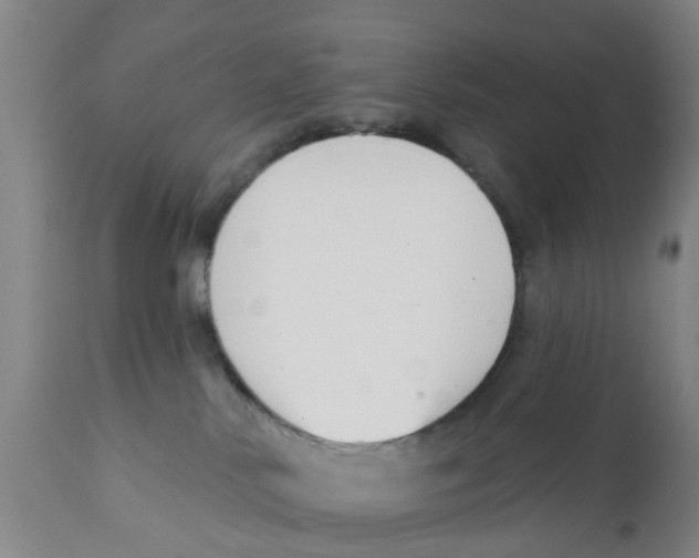 X0000111620042200908141329