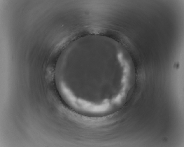 X0000111620043200908141329