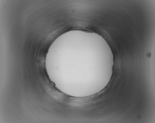 X0000111620045200908141329