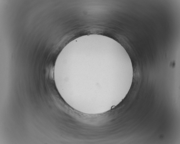 X0000111620046200908141329