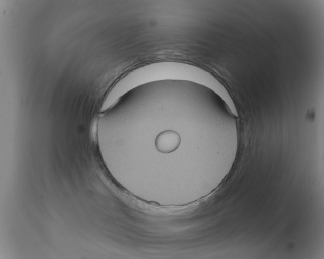 X0000111620047200908141329