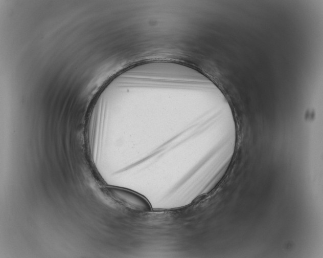 X0000111620050200908141328