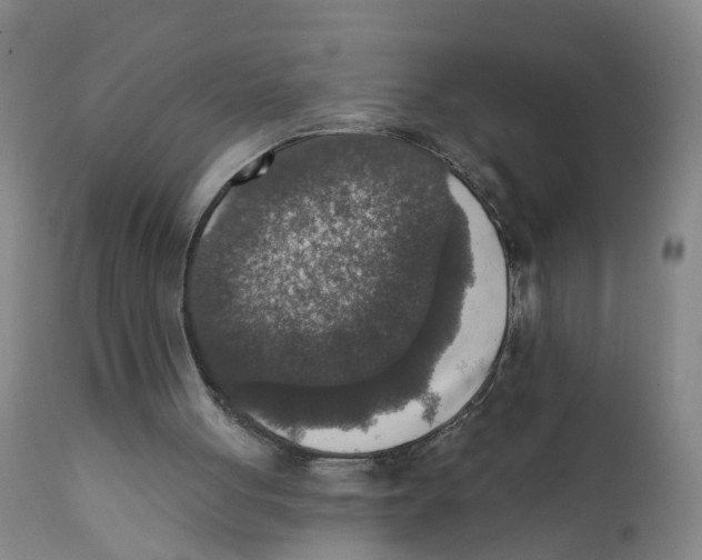 X0000111620051200908141328