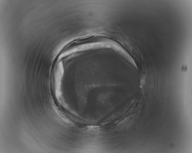 X0000111620052200908141328