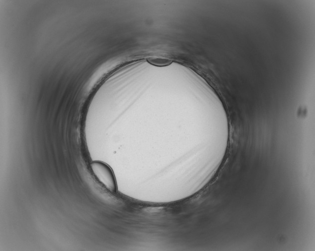 X0000111620054200908141328