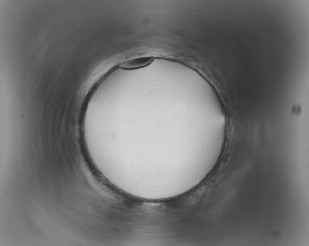 X0000111620055200908141328