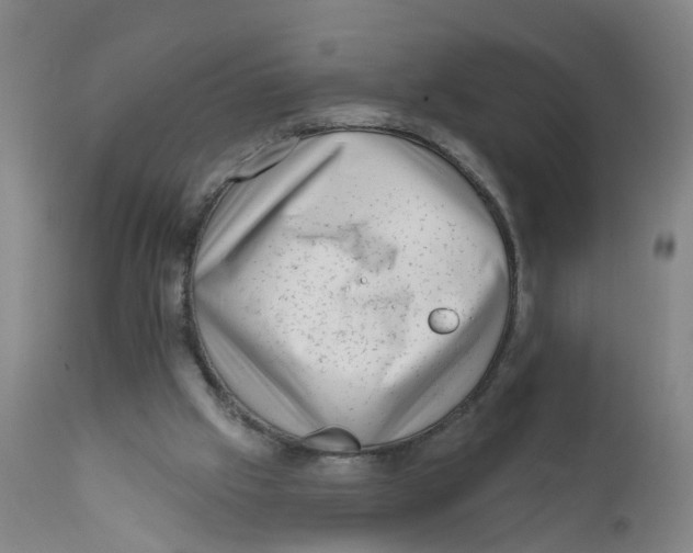 X0000111620057200908141328