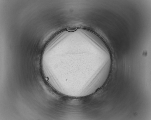 X0000111620058200908141328