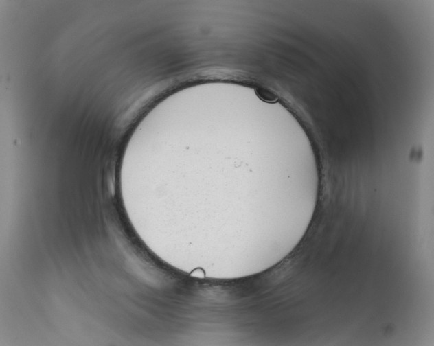 X0000111620062200908141328