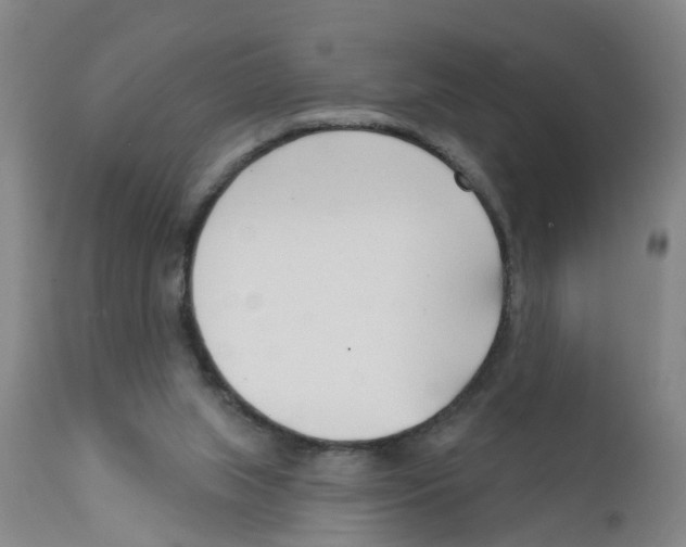 X0000111620063200908141328