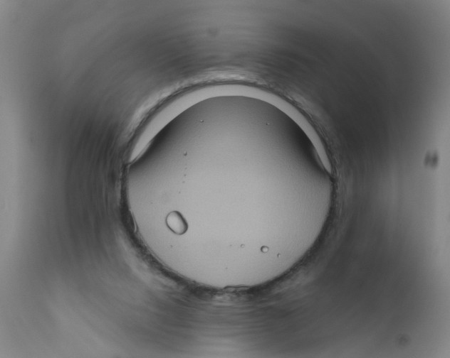 X0000111620064200908141328