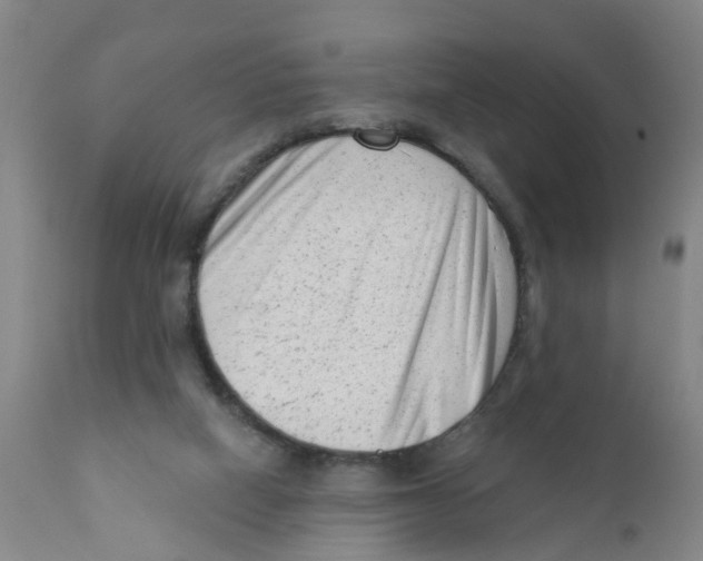 X0000111620066200908141328