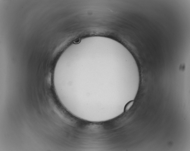 X0000111620067200908141328