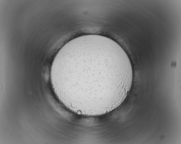 X0000111620069200908141328