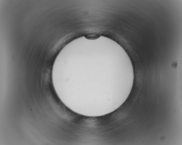 X0000111620071200908141328