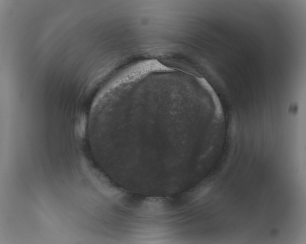 X0000111620076200908141329