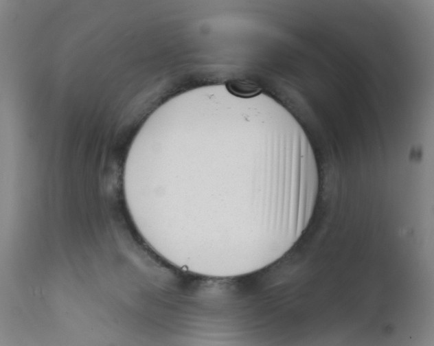 X0000111620077200908141329